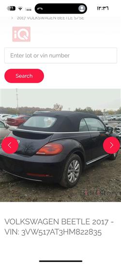 Volkswagen Beetle
